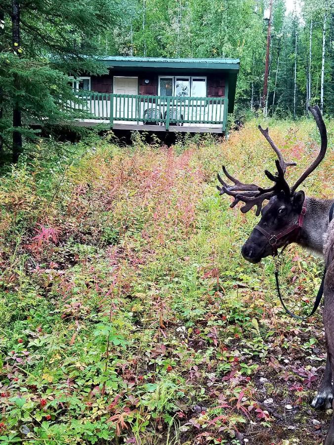 Northwoods Cottage Bed And Breakfast Fairbanks Exterior foto